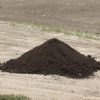 Compost | Fertilizer