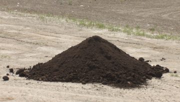 Compost | Fertilizer